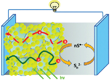 Boosting the Efficiency of Quantum Dot Sensitized Solar Cells Through Modulation of Interfacial Charge Transfer